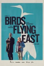 bird flying east